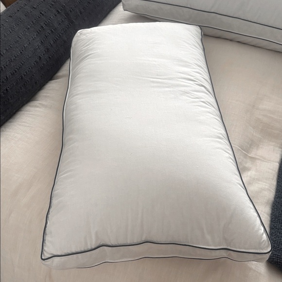 Pacific Coast Feather Co Double DownAround® Organic Cotton Cover Pillow - Picture 1 of 4
